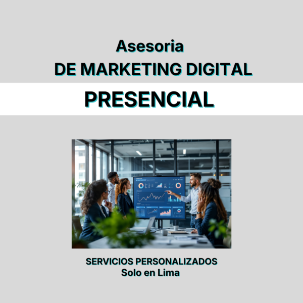 Curso (11) Servicio de Asesoría Digital Presencial