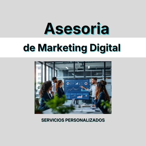 ase1 Servicio de Asesoría de Marketing Digital (Virtual)